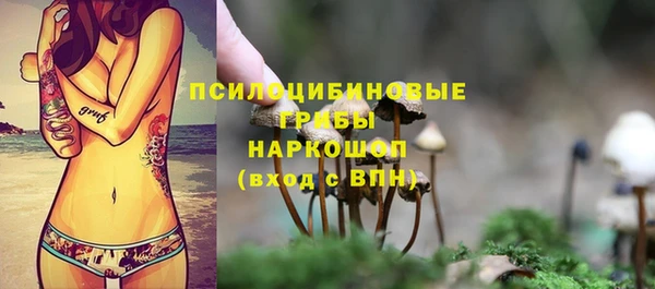 амф Бородино