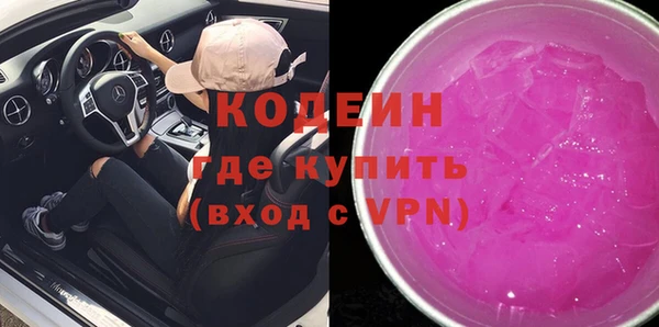 амф Бородино
