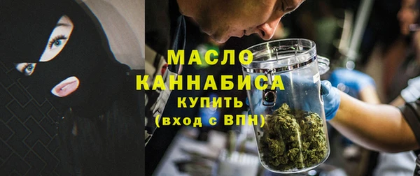 амф Бородино