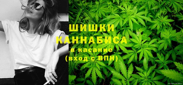амф Бородино