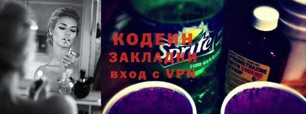 амф Бородино