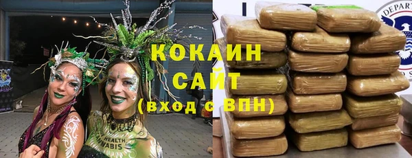 амф Бородино