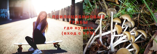 амф Бородино