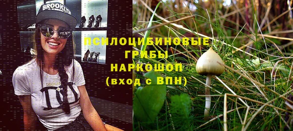 гашик Бугульма